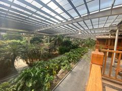 -龙达温泉生态城