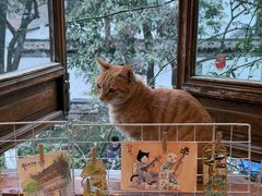 -猫的天空之城概念书店(苏州平江店)
