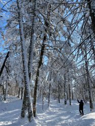 -大秃顶子山(雪谷店)