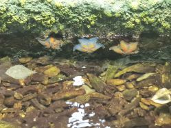 -钓虾工场·钓虾·赶海(回龙观店)