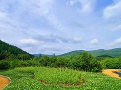 -横道河子东北虎林园