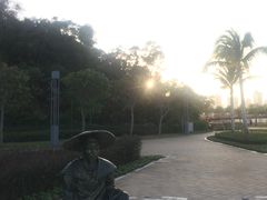 -野狸岛