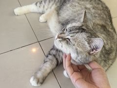 -平行世界·猫咖(首经贸店)