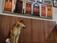 -柯斗斗主题餐厅·狗咖·围炉煮茶·茶饮(国瑞升平里店)