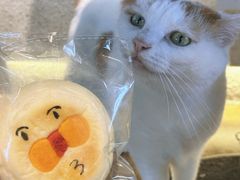-B.O.M波姆烘焙(凤凰街店)