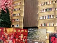 -深影国际影城(学院南路店CGS中国巨幕店)