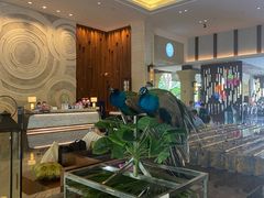 -西双版纳融创皇冠假日度假酒店