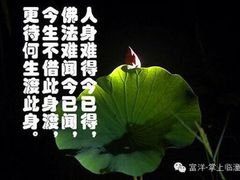 -临沂市三财石化加油站