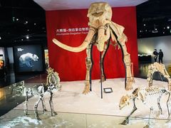 -重庆自然博物馆(新馆)