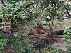 -上海动物园(地铁站)