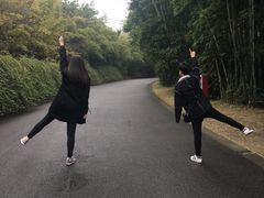 景点-成都大熊猫繁育研究基地