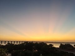 -宝安西湾红树林湿地公园