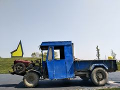 -荷兰花海