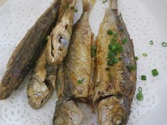 -蚝家菜馆(沙井店)