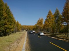 -塞罕坝国家级自然保护区