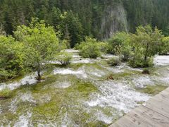 -叠溪松坪沟景区