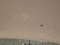 -南里山房(虹桥新天地店)