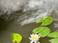 -保定直隶总督署博物馆