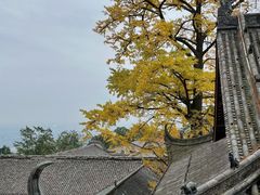 -金堂县云顶石城风景区
