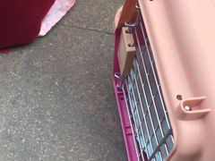 -瑞派宠物医院(锦江店)