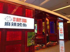 -南锣肥猫·麻辣烤鱼·16年现烤现卖(财富购物中心店)