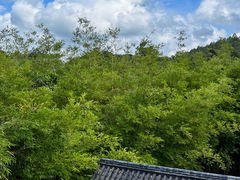 -林丰温泉度假山庄