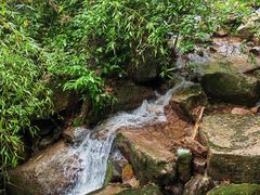 -莫干山风景区