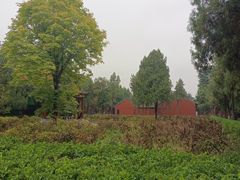 -洛阳白马寺