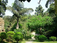 -西樵山风景名胜区-天湖公园