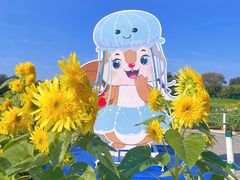 -北陵公园