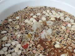 -邢家锅贴老店·非遗·开封菜(金明广场店)