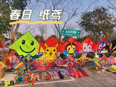-羊山湖公园