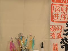 -有喵·猫咖·狗咖·30几只猫10只小狗(岗厦店)