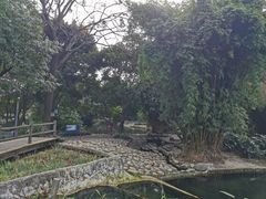-成都市活水公园