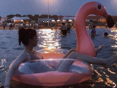 -碧海金沙