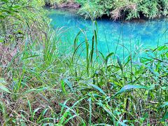 -阿哈湖国家湿地公园