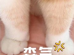 -牛油果大师寿司(瑞景店)