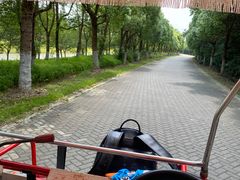 -上海海湾国家森林公园