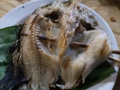 -杨合林啊兰烤鱼