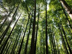-山王坪喀斯特国家生态公园