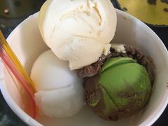 -莓园冰淇淋店