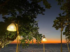 -卷心菜和避孕套餐厅(Pattaya)