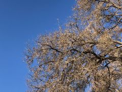-张掖大佛寺景区