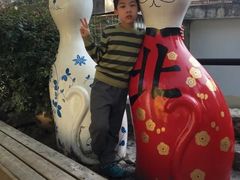 -猫咪博物馆(顶澳仔猫街店)