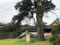 -司徒庙