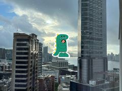 -香港尖沙咀凯悦酒店