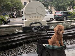 -广州白天鹅宾馆