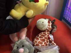 -PAWTOY爪e玩偶店(天兴罗斯福店)