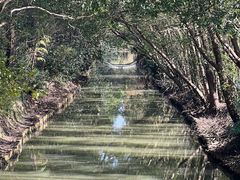 -同里国家湿地公园