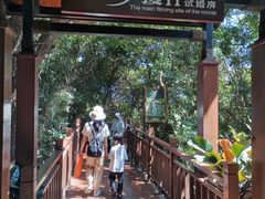-三亚亚龙湾人间天堂鸟巢度假村